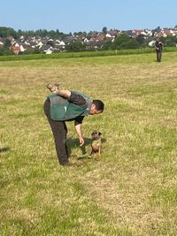 Coco Border Terrier